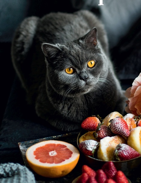 Серия - Инстакулинария